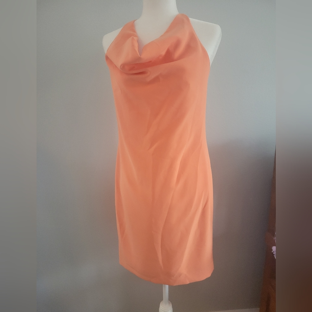 W by Worth Dress